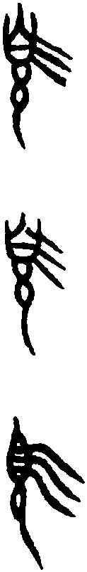簋,師魚父旅簋 ,書法字典